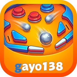 gayo138
